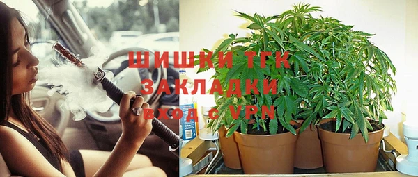 таблы Алзамай